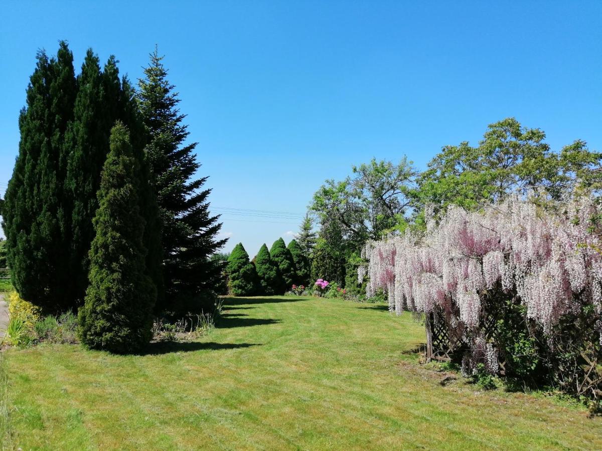 Villa Holma *** Agroturystyka Zbychowo ภายนอก รูปภาพ
